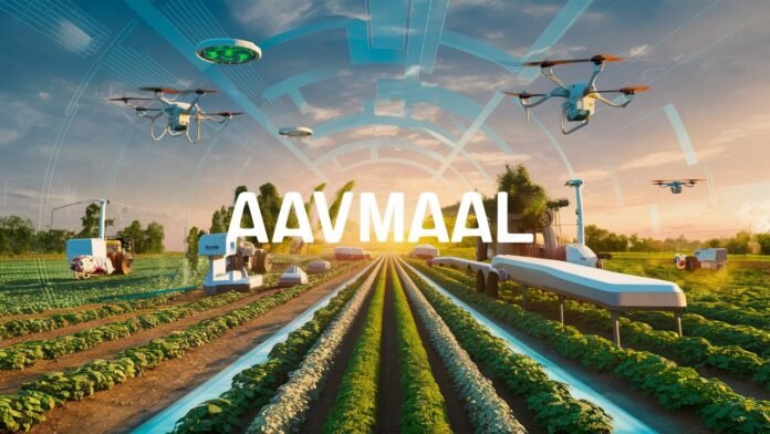 aavmaal